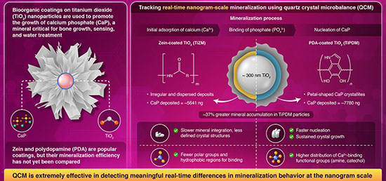 QCM-based real-time nanogram-scale comparison of zein and polydopamine coatings for calcium phosphate mineralization