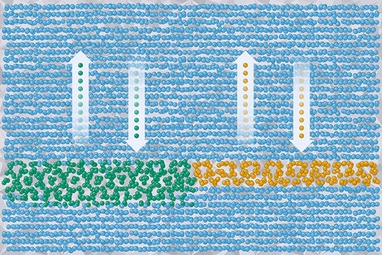 A grain boundary defect with two phases (green and orange) in a tungsten crystal (blue)