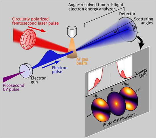 LAES measurement using circularly polarized light