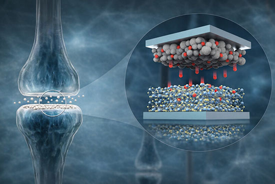 a biological synapse (left) alongside the artificial hydrogen-controlled synapse device (right)