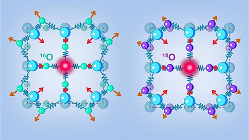 Carrier dynamics and opical responses in metallic SrVO3 thin films are deeply impacted by the electron-phonon coupling here ad-hoc modifed by Isotopic 18O/16O enrichment.