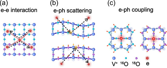 Sketches of: (a) electron-electron scattering, (b) electron-phonon scattering, and (c) polaron formation in 16O- and 18O substituted SrVO3