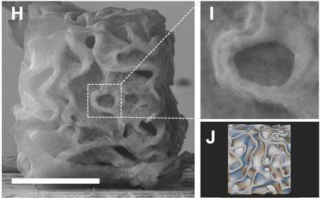 A scanning electron microscope (SEM) image of a cross-section of a nickel octahedral nano-lattice