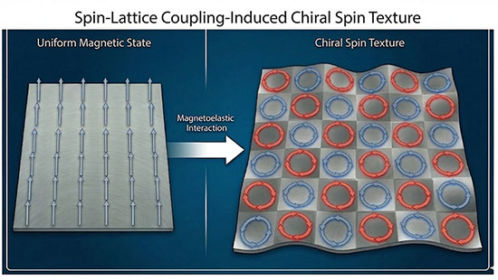 Schematic illustration of how magnetoelastic coupling transforms a uniform magnetic state (left), in which all spins are aligned in the same direction, into a chiral spin texture (right) featuring alternating skyrmions (red) and antiskyrmions (blue) accompanied by lattice distortion