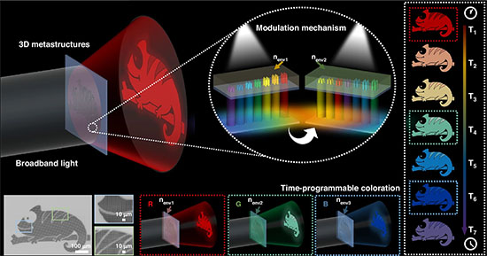 3D metastructures precisely modulate the optical field to generate predefined colors and patterns in the far field