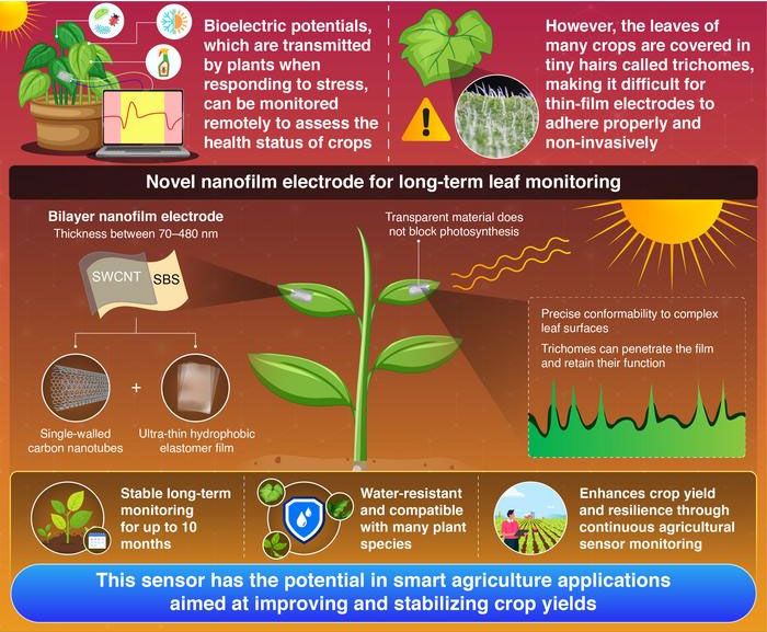 An innovative thin-film electrode that accommodates leaf hairs