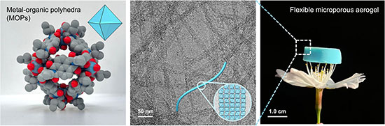 Schematic illustration of porous fibrils assembled from metal–organic polyhedra (MOPs) and the resulting flexible porous aerogel