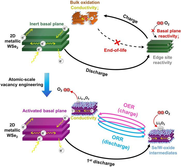 Activation of the Base Surface and Catalytic Reaction Mechanism of Two-Dimensional Metallic WSe₂ Material