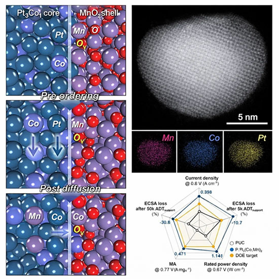 nanocatalyst