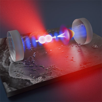 Quantum-controlled nanorotor