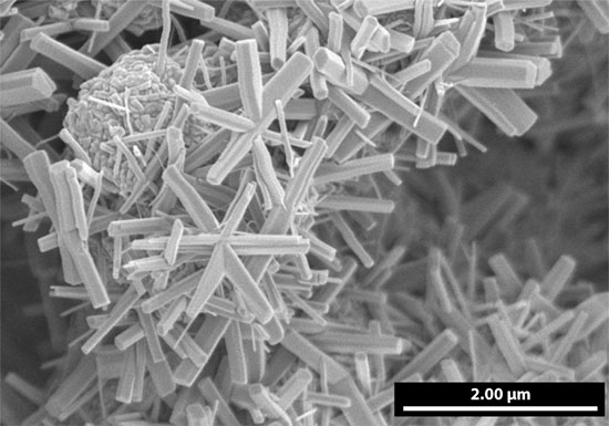A scanning electron microscope image reveals particles of vanadyl hydroxide (VOOH) shaped like stars