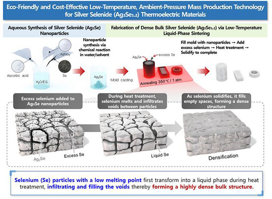 grain growth and densification of Ag2Se with excess Se during the annealing step at 623 K under ambient pressure