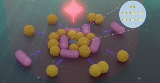 Artistic view of a nanorobot (center and inset) interacting with several bacteria of two distinct types