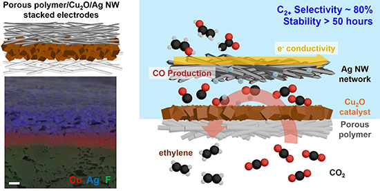 Schematic diagram of a porous polymer–copper oxide catalyst silver nanowire network electrode structure