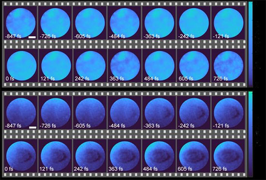 spatiotemporal evolution of the intensity (top images) and phase (bottom images) of carrier dynamics in ZnSe