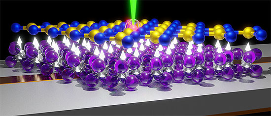 Hexagonal boron nitride allows the positioning of spin defects with atomic precision within a very thin layer