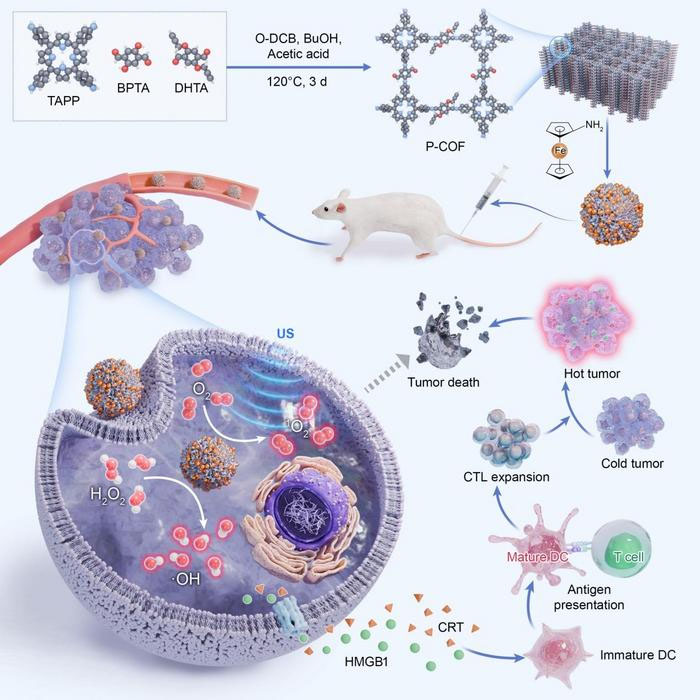 Schematic showing the preparation of mCOFs and their role in tumor growth inhibition