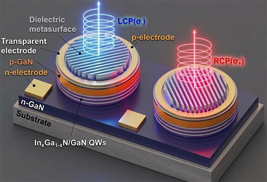 A schematic of semipolar (20-21) InGaN-based CP light LEDs where stripe-shaped metasurfaces are directly integrated on the LED emission surfaces to convert linearly-polarized light into CP light