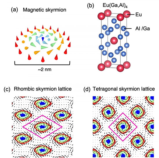 skyrmions