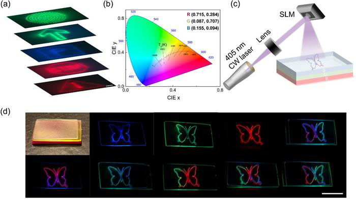 Fluoride-Engineered Perovskite Glass Enables Ultra-High Resolution Multicolor Holographic Displays