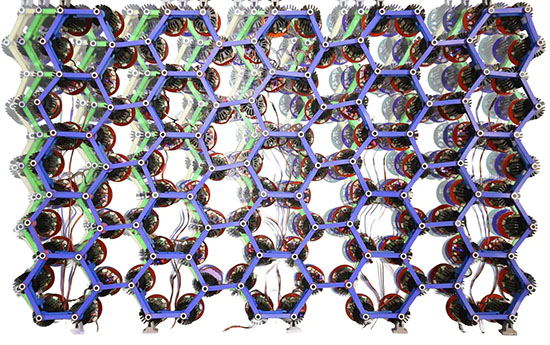 rods and motors are placed in a two-dimensional lattice