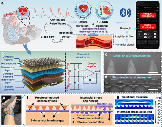 Device structures and working mechanisms of interfacial engineering-based triboelectric sensor