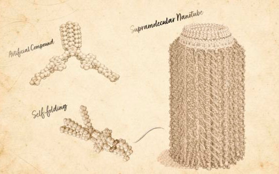 Self-Folding π-Luminophores Form Supramolecular Nanotubes with Multidirectional Exciton Transport