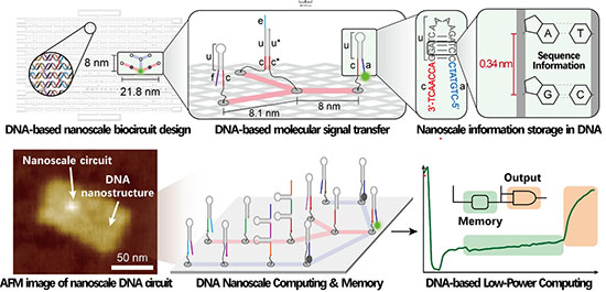 Illustration of a DNA-based nanoscale bio-memory circuit capable of low-power operation 