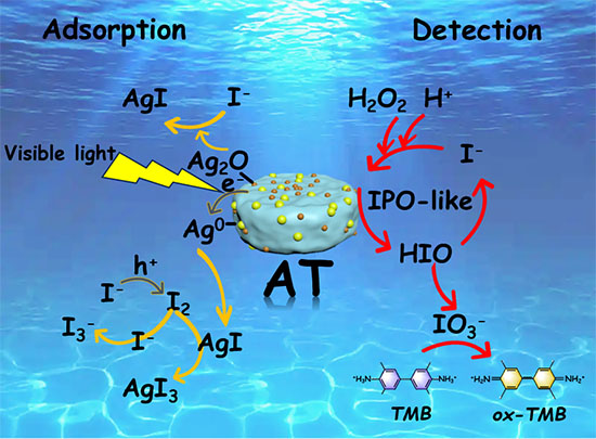 Adsorption and detection mechanism of radioactive iodide ions by AT nanocomposites
