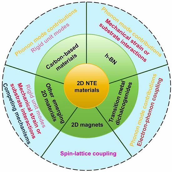 Mechanisms of Negative Thermal Expansion in 2D Materials