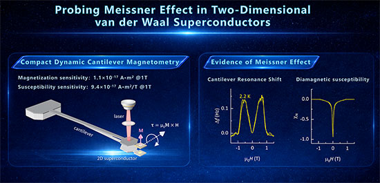 Ultrasensitive detection of the Meissner effect in two-dimensional superconductors