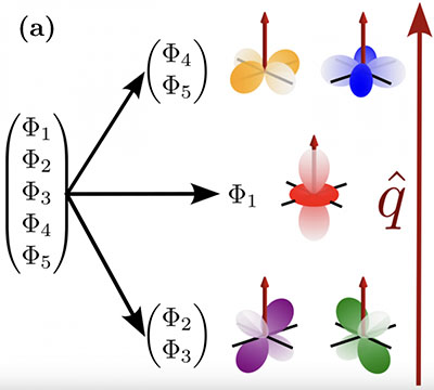 Diagram showing how the compatibility relations split the helical order parameters (Φ1 through Φ5) into two types