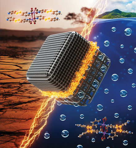 a three-dimensional structure that captures water from the air and stores it