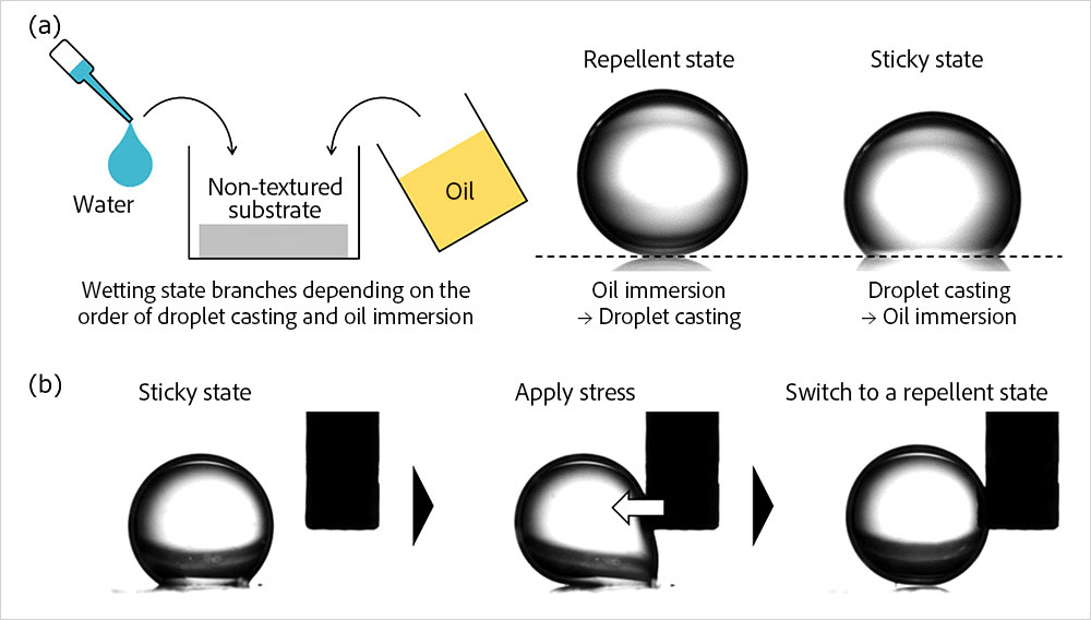 Surface Design Enabling Two Distinct Wetting States on a Single Substrate