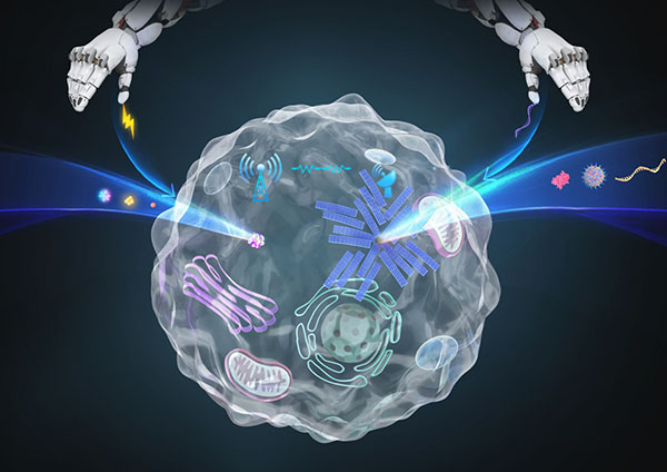 Schematic illustration of the double-necked synthetic cell microreactor