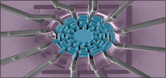A scanning electron micrograph of the device that researchers used to measure the transport properties of their metallic p-wave magnet