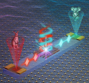 photonic valleytronic chip