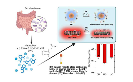 Schematic of the fluorescent nanosensor platform showing rapid detection of indole-3-propionic acid (IPA) and differentiation between healthy and diseased samples