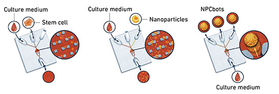 Illustration of how microrobots are fabricated on a lab-on-a-chip