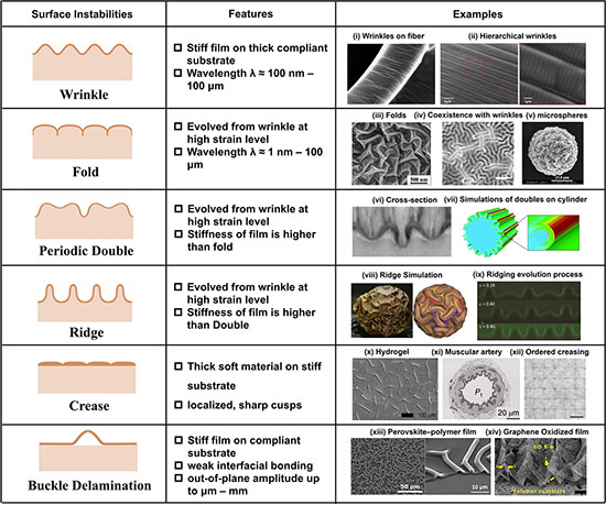 A summary of morphologies, features and examples of surface instabilities: wrinkle, fold, Periodic double, ridge, crease and delamination buckle