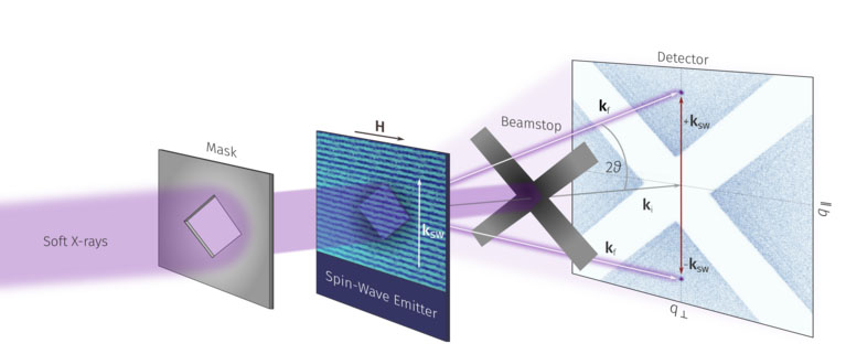 magnon momentum microscopy