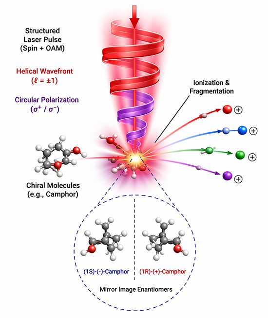 Schematic illustration of twisted-light interaction with chiral camphor, resulting in molecular ionization and fragmentation into constituent atomic and ionic species. 