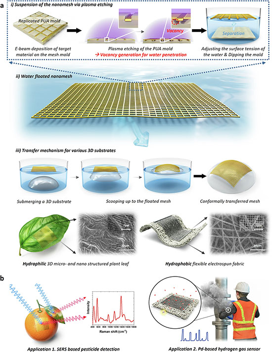 Overview of the water-floated nano mesh and versatile transfer technique