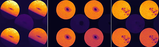 Examples of sunspot images acquired using the metasurface at a solar observatory. Each set consists of four images, with each image a different polarization channel.