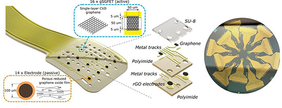 graphene brain interface