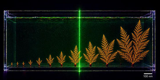 Electrodeposition growth of tellurium nanowires