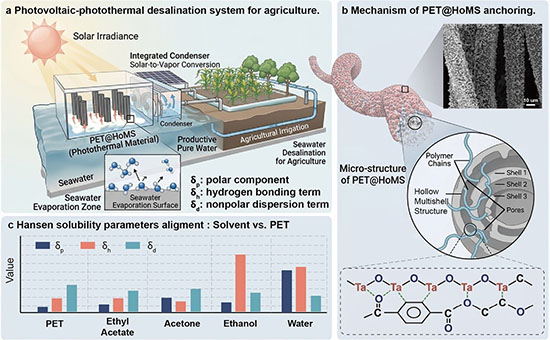 Schematic illustration of an integrated photovoltaic-photothermal hybrid desalination system for sustainable agriculture