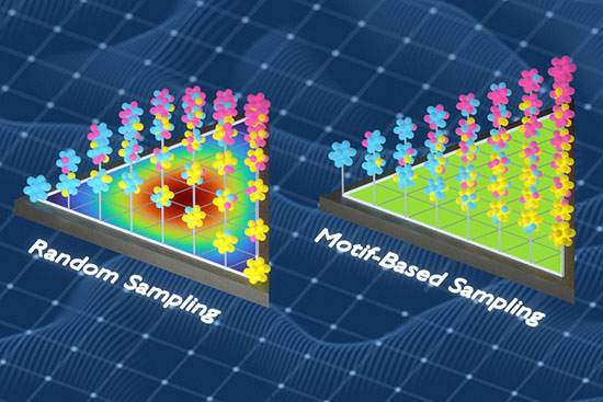 This figure compares a random sampling approach to the researchers’ new motif-based sampling