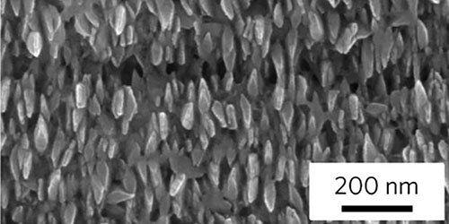 A MOF film under an electron microscope