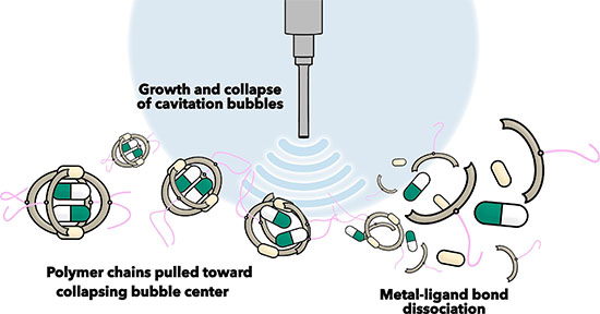 ltrasound activates polymer chains and transmits mechanical forces through supramolecular nanostructures